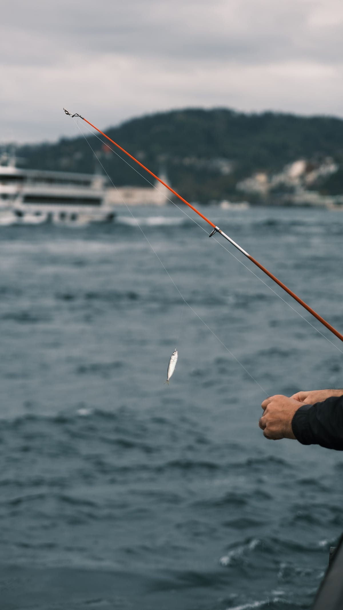 Deep-Sea Fishing