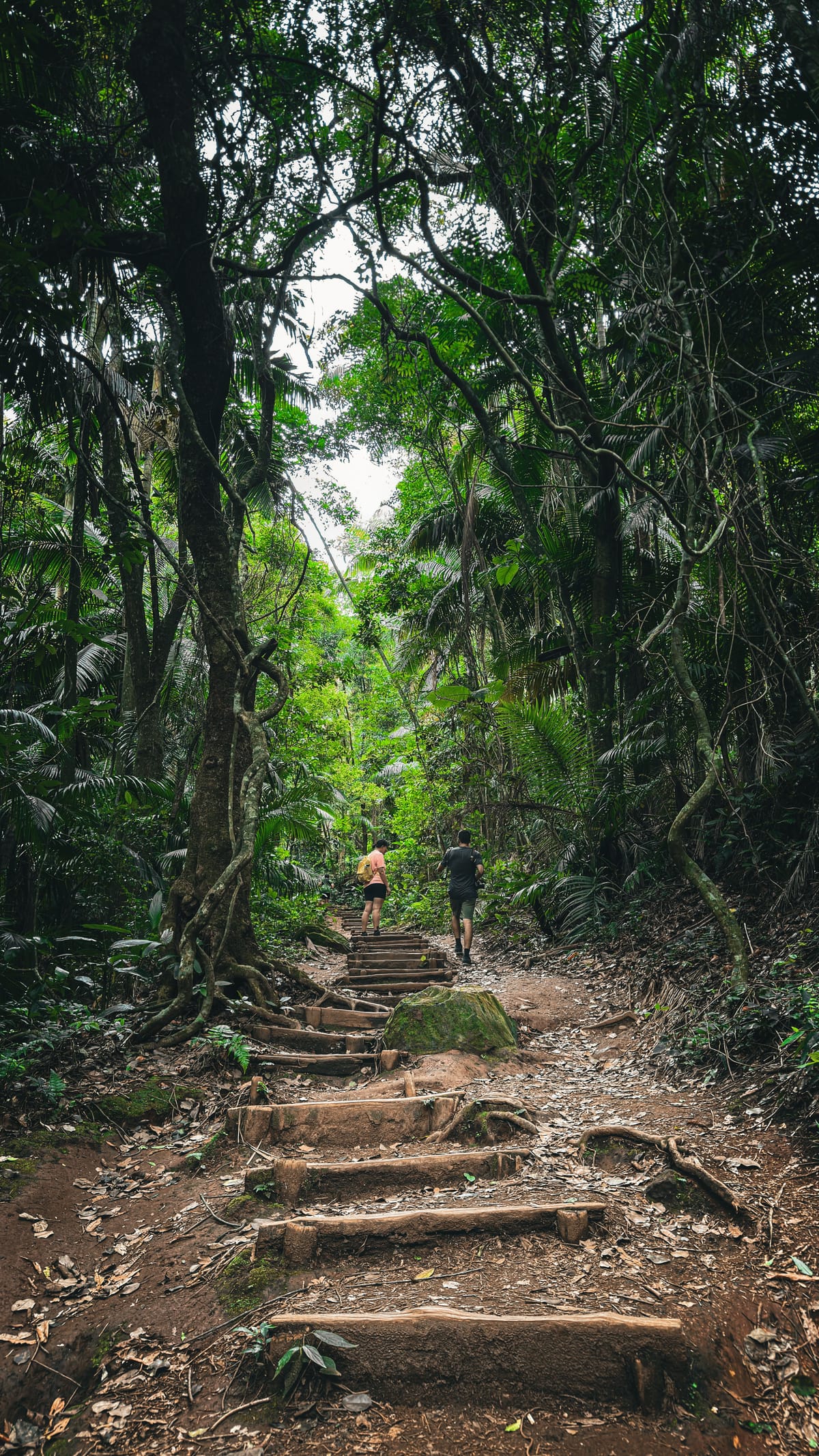 Gros Piton Hike