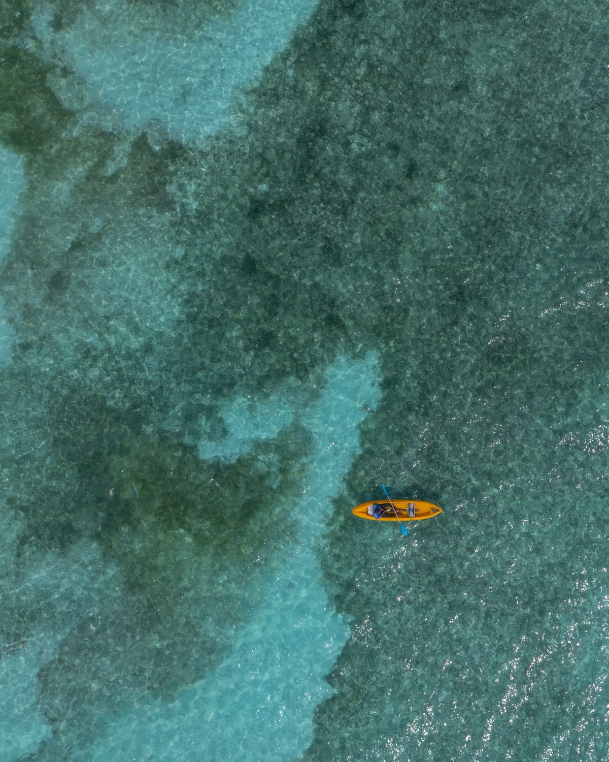 Praslin Bay Kayaking & Sea Moss Farm