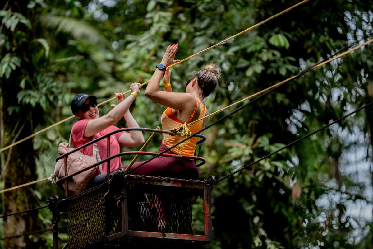 Ziplining & Rainforest