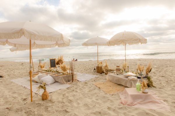 Beach Picnic